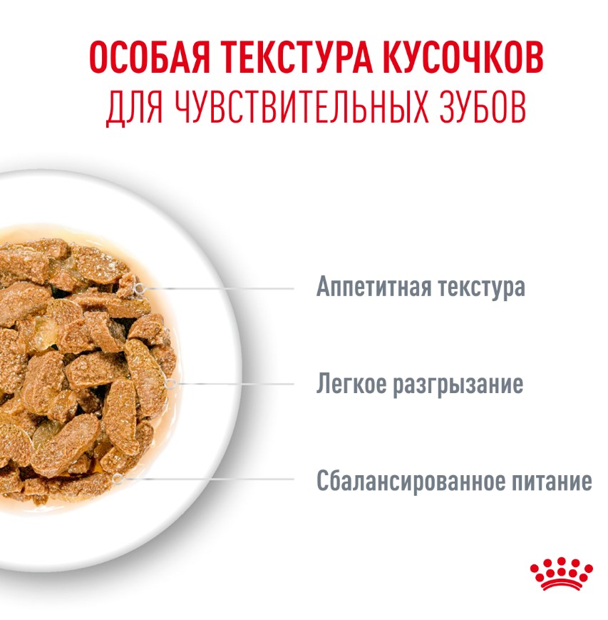 Влажный корм для пожилых кошек Royal Canin Ageing 11+ (кусочки в соусе)