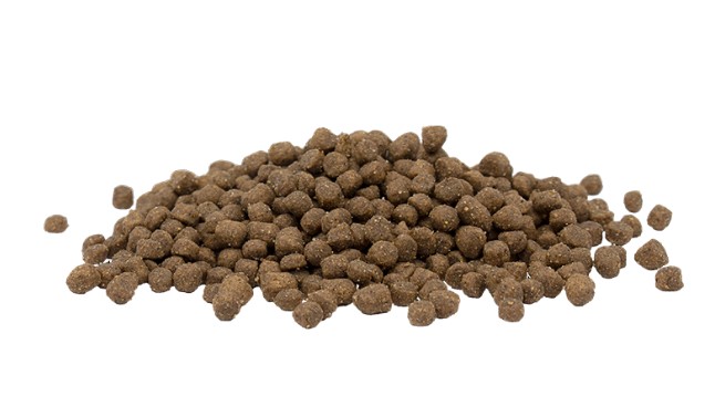 Сухой корм для котят Opti Life Kitten (курица)