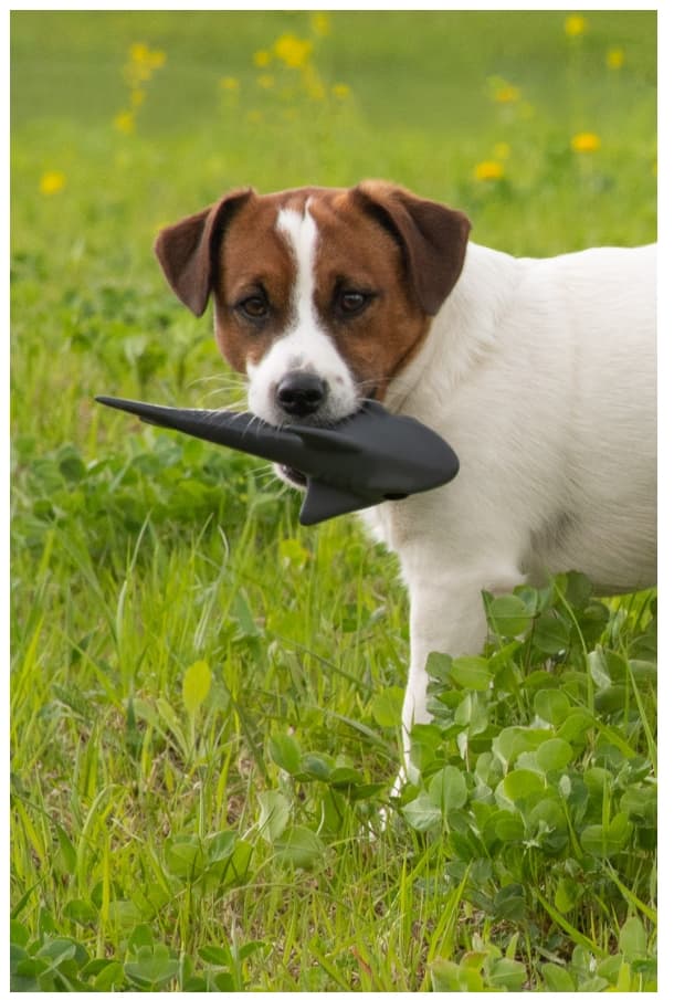 FANCY PETS Игрушка для собак Акула с пищалкой 20 см