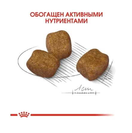 Еда для собак Сухой корм для собак Royal Canin Mini Dental