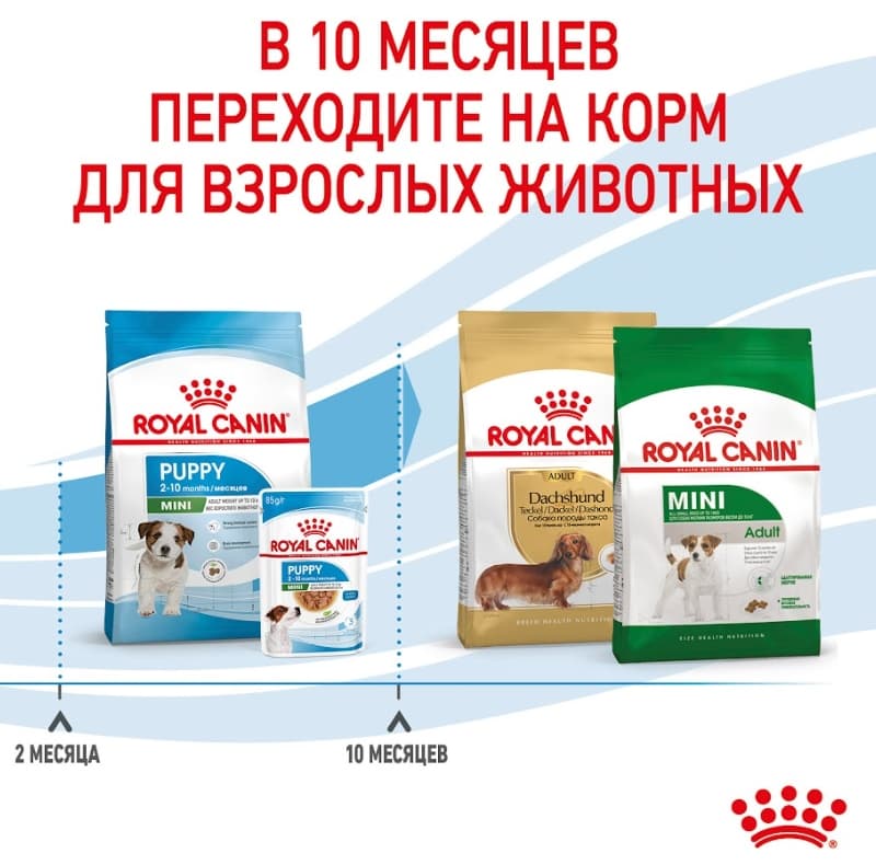 Еда для щенков Сухой корм для щенков Royal Canin Mini Puppy