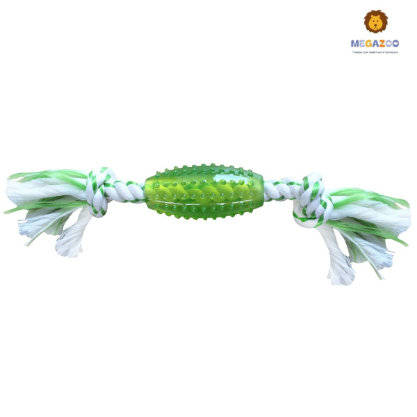 Дентальная Игрушка для собак CanineClean Регби