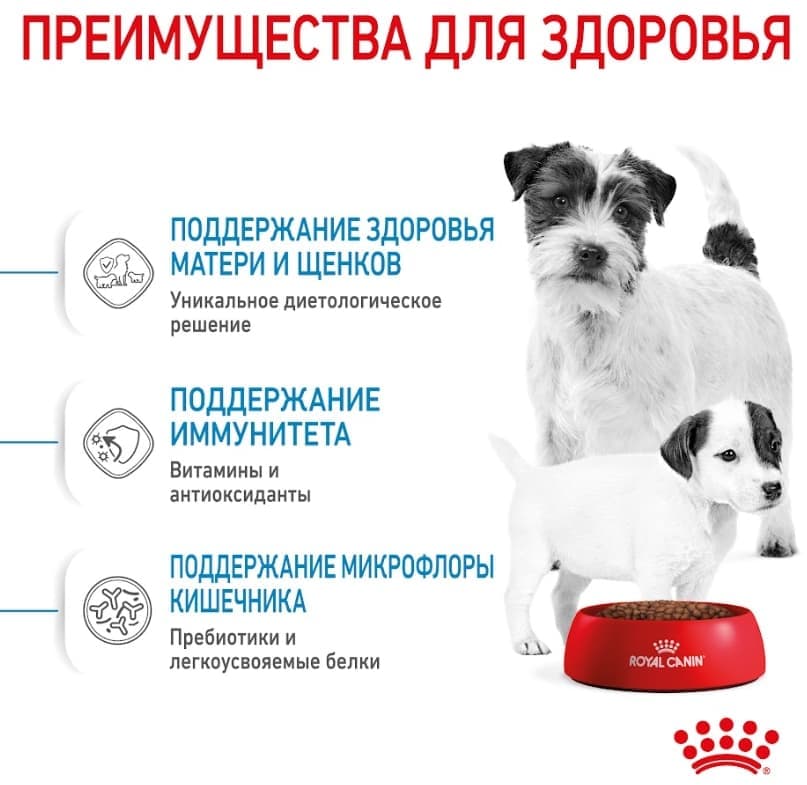 Еда для щенков Сухой корм для щенков Royal Canin Mini Starter
