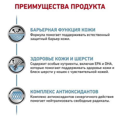 Еда для кота Влажный корм для кошек Royal Canin Skin & Coat Formula