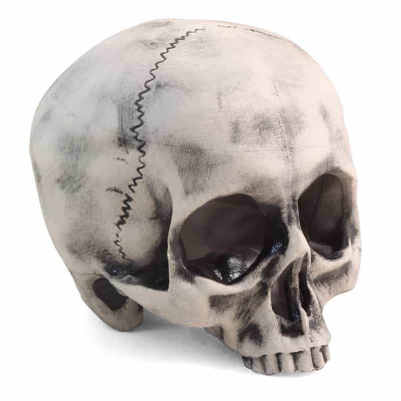 Грот для аквариума "Капитан Флинт" (74004124)