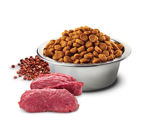 Питание для собак Сухой корм для собак Farmina N&D GF Quinoa Skin & Coat  Adult Mini (оленина, кокос)