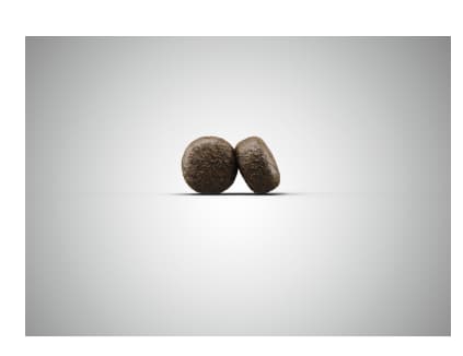 Еда для собак Josera Sensi Junior