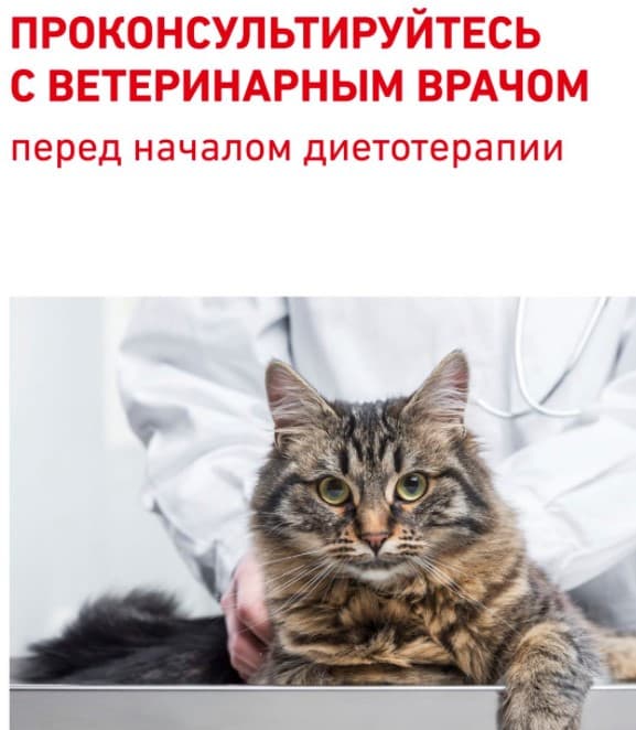 Сухой корм для кошек Royal Canin Renal Select корм для кошек с пониженным аппетитом