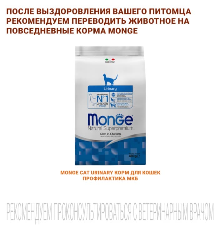 Корм для кошек Monge VetSolution Renal Cat