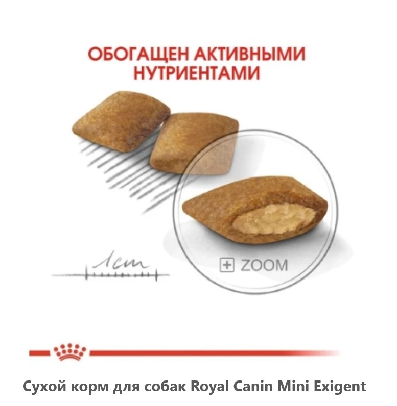 Еда для собак Сухой корм для собак Royal Canin Mini Exigent