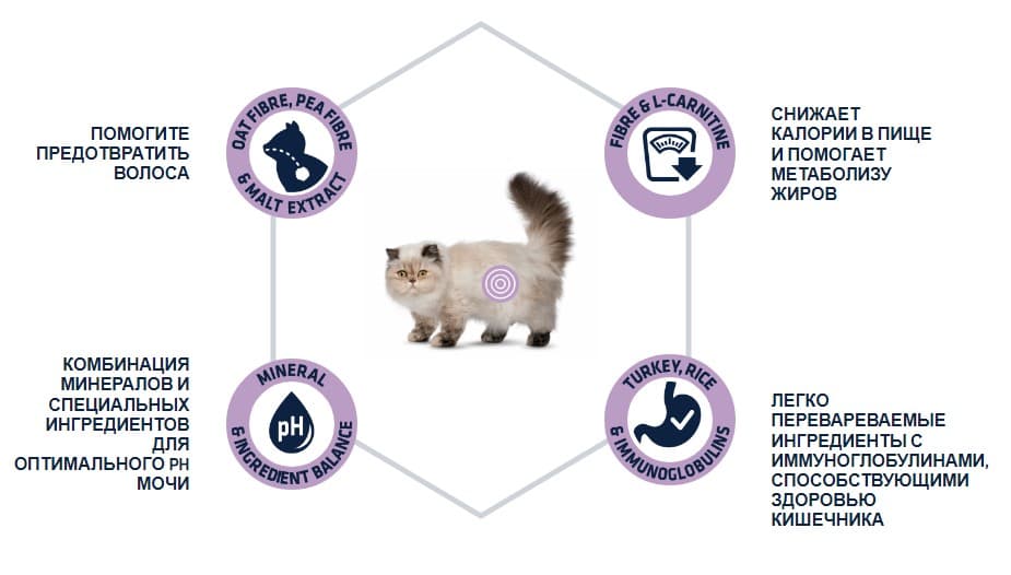 Пища для кошек Сухой корм для кошек Advance Cat Adult Sterilized Hairball (индейка и ячмень)