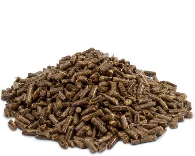 Versele-Laga Crispy Pellets Chinchillas & Degus