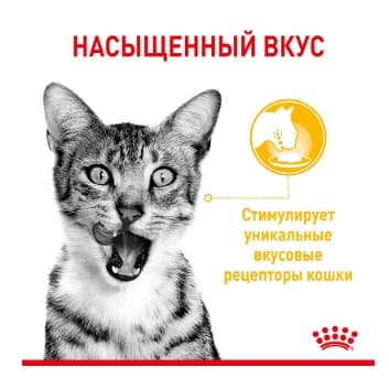 Консервированный корм для кошек Royal Canin Sensory Taste (соус)