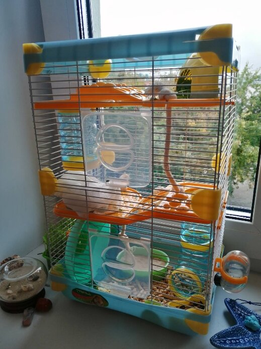 Клетка с тоннелями для грызунов TRIOL "Парк приключений" (40691065)