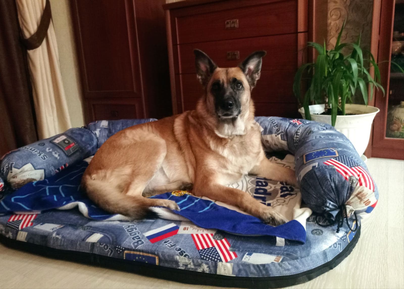 Диван для собак Triol "Фаворит Гранд" 134*100*8 см (31932053)