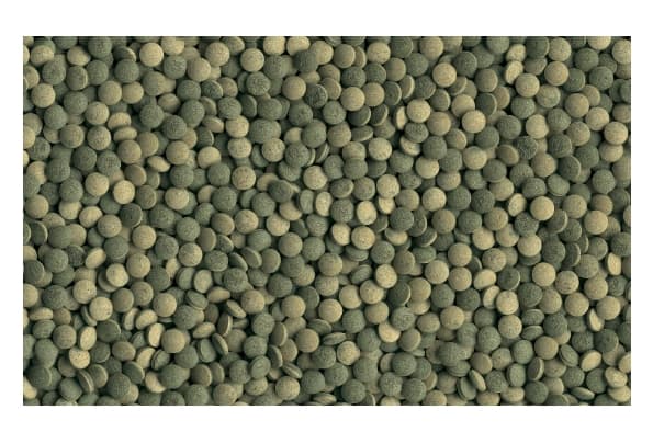 корм в виде таблетки для травоядных донных рыб TetraPlecoTablets