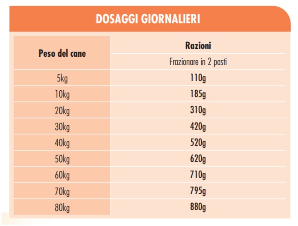 Пища для собак Сухой корм для собак Dog&Dog Placido Mantenimento (Лосось)