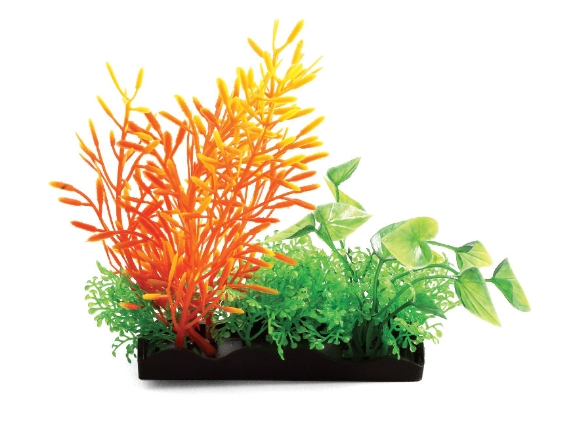 Растения композиция оранжевая 150 мм Laguna (74044167)