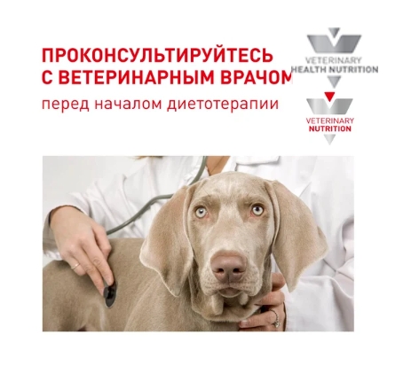 Каталог Сухой корм для собак Royal Canin Neutered Adult Medium Dog для собак