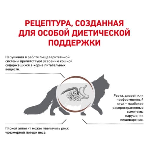 Сухой корм для кошек Royal Canin Gastro Intestinal GI32 полнорационный корм для поддержания здорового пищеварения у кота 