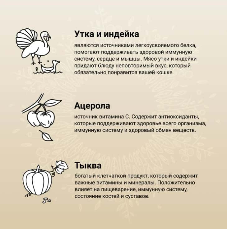 Рацион для кошек CRAFTIA HARMONA Adult Cat (утка, индейка)