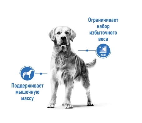 Еда для собак Сухой корм для собак Royal Canin Medium Light Weight Care