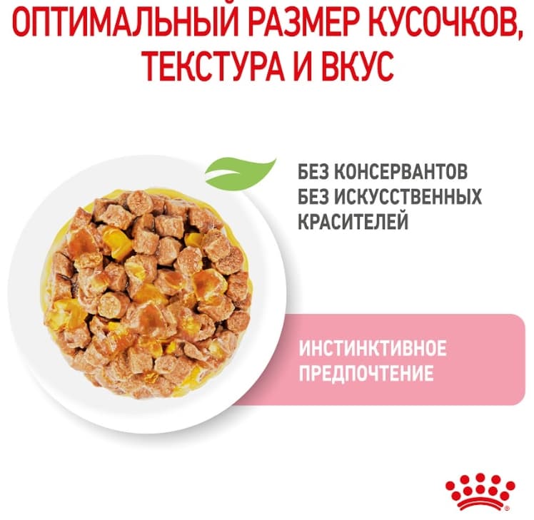 Влажная еда для котят Royal Canin Kitten Sterilized (в желе)