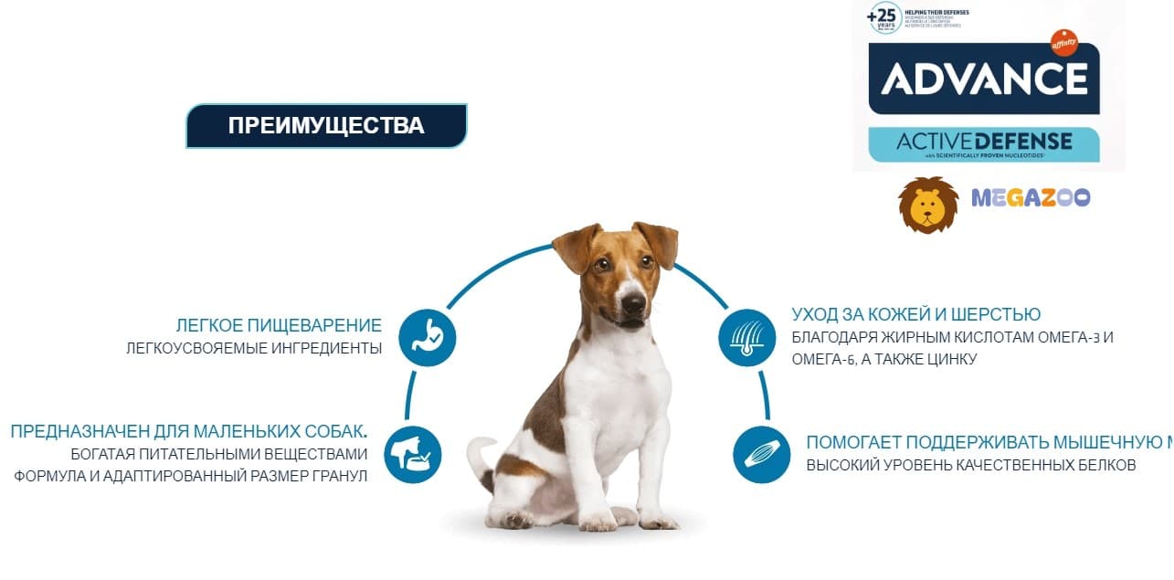 Еда для мелких собак Сухой корм для собак мелких пород Advance Dog Adult Mini (курица)