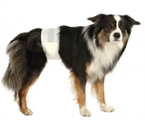 Подгузники для кобелей "TRIXIE" 12 шт