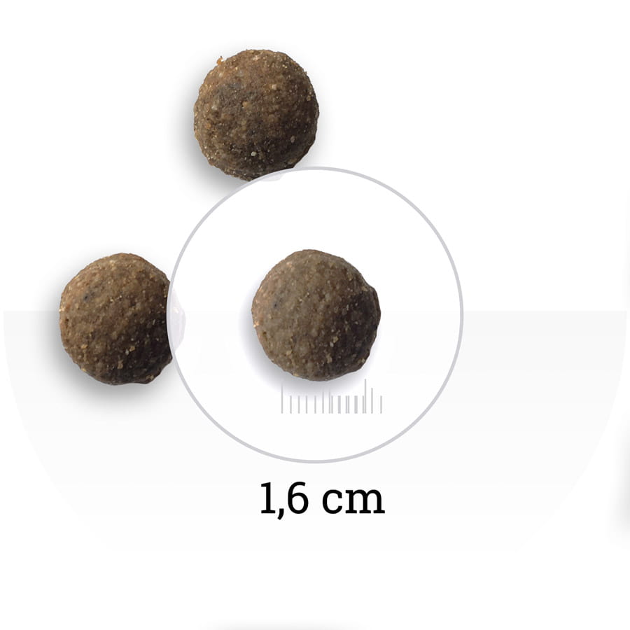 Повседневный корм для собак Bon Appetit DOG Adult (ягненок, лосось, рис)