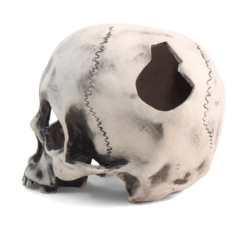 Грот для аквариума "Капитан Флинт" (74004124)