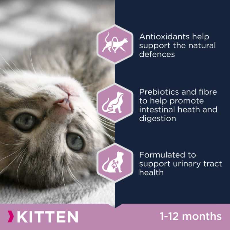 Рацион для котят Сухой корм для кошек Eukanuba Kitten Healthy Start (курица)