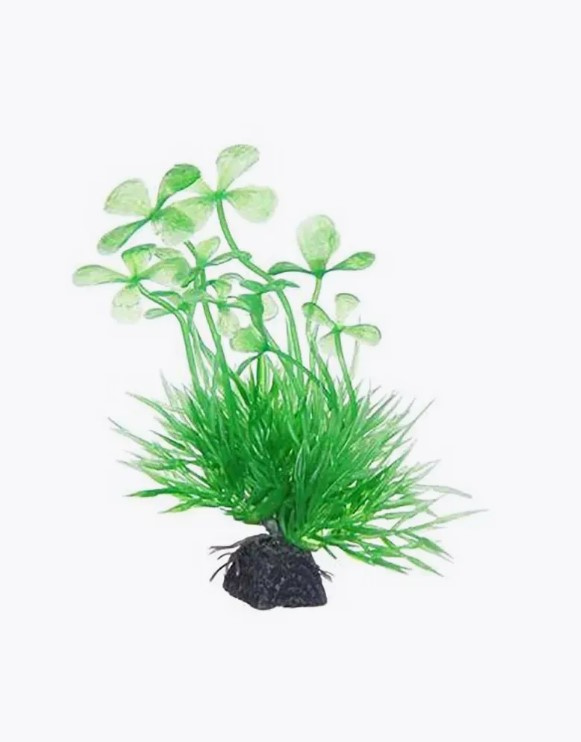 Растение пластиковое NARIBO Марсилия микс 11 см