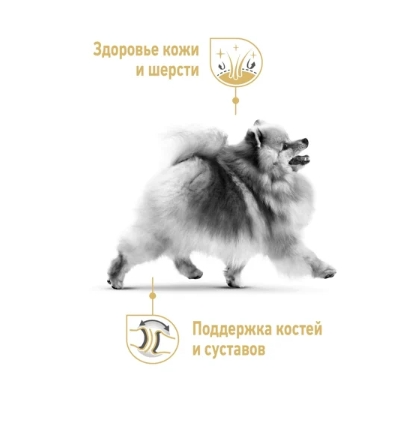 Еда для собак Сухой корм для собак Royal Canin Pomeranian Adult