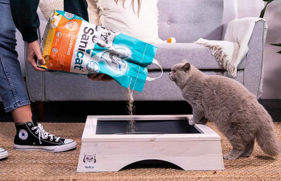 Кошачий Наполнитель бентонитовый Sanicat Clumping Vainille-Mandarine (ваниль, мандарин)