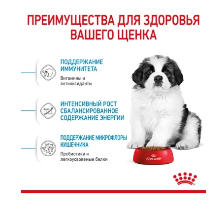 Еда для щенков Сухой корм для щенков Royal Canin Giant Puppy