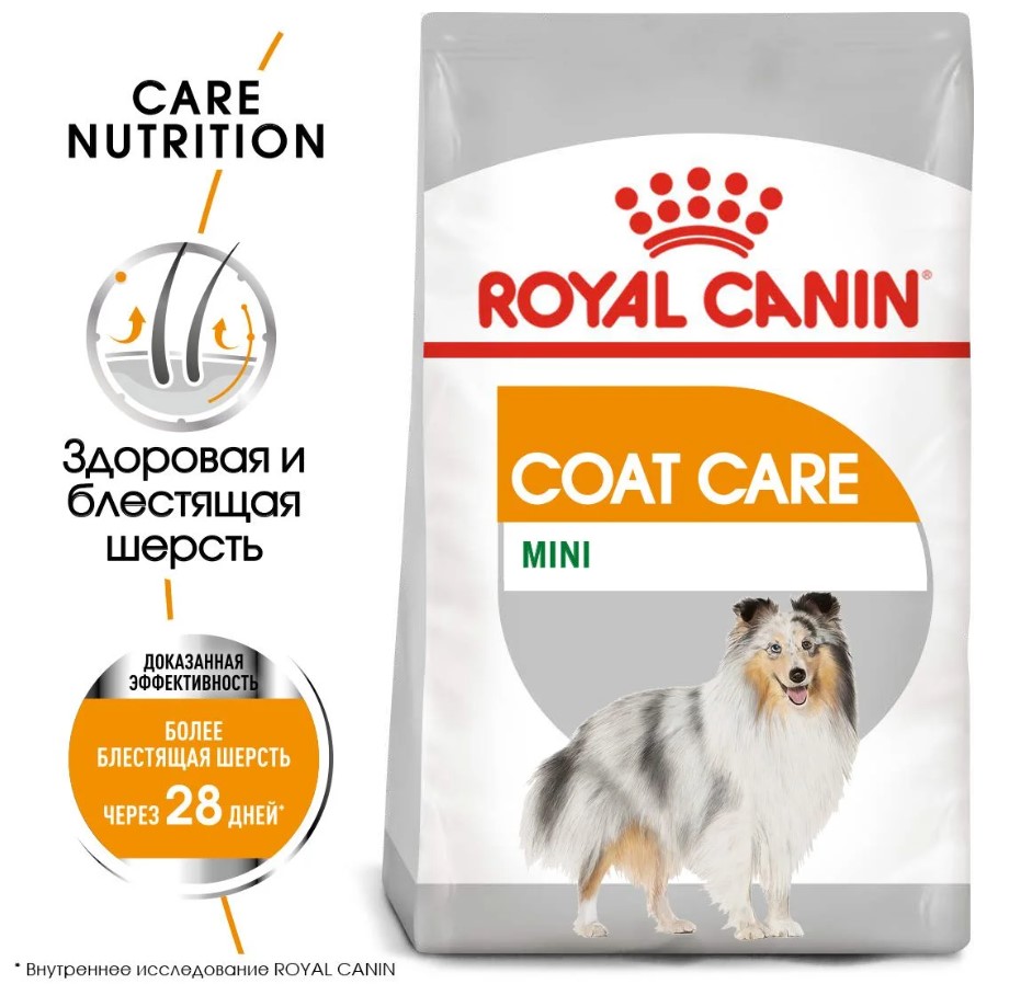 Еда для собак Сухой корм для собак Royal Canin Mini Coat Care