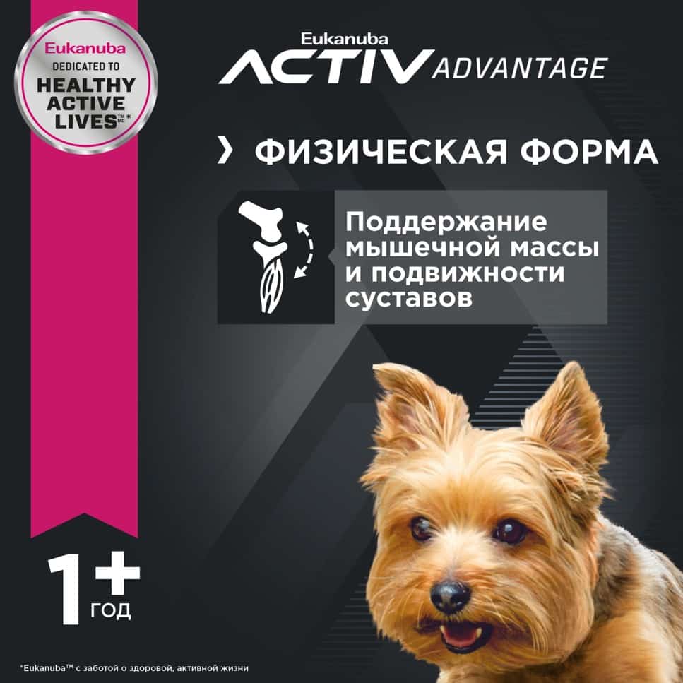 Питание для мелких собак Сухой корм для собак Eukanuba Adult Toy Breed (птица)