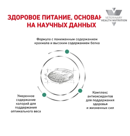 Ветеринарный корм для собак Сухой корм для собак Royal Canin Diabetic Canine