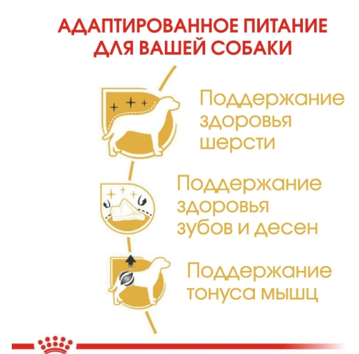 Питание для пуделя Сухой корм для собак породы пудель Royal Canin Poodle Adult