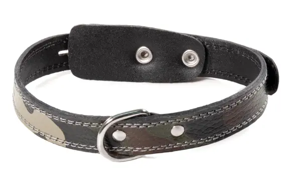 Ошейник кожаный для собак Gamma "Хаки"
