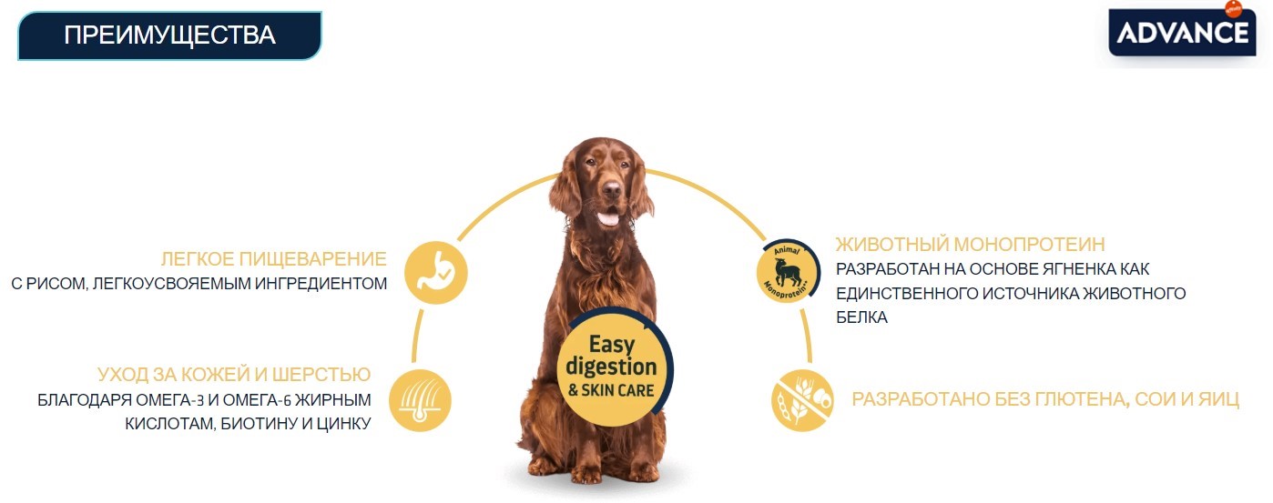 Еда для взрослых собак Сухой корм для собак Advance Dog Adult Sensitive (ягненок и рис)