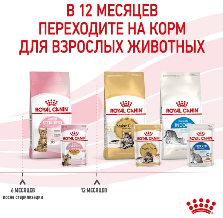 Влажная еда для котят Royal Canin Kitten Sterilized (в желе)