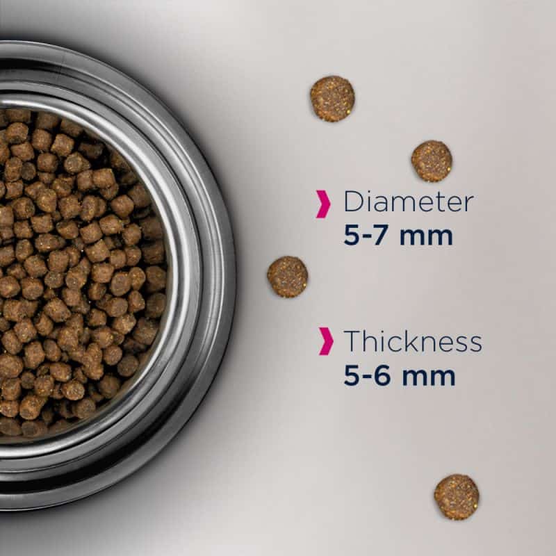 Рацион для котят Сухой корм для кошек Eukanuba Kitten Healthy Start (курица)