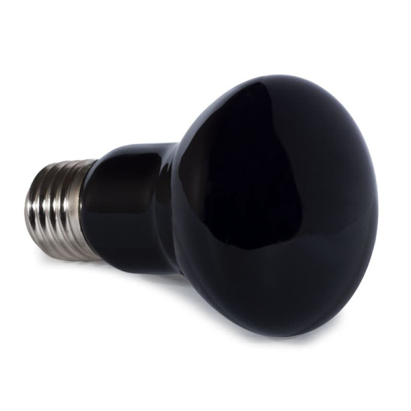 Лампа ночная для рептилий Friendly 50Вт (83725077)