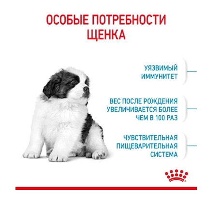 Еда для щенков Сухой корм для щенков Royal Canin Giant Puppy