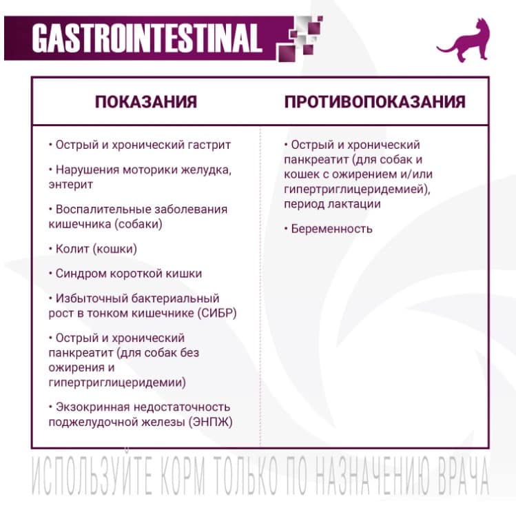 Лечебное питание для кота Monge VetSolution Gastrointestinal Cat