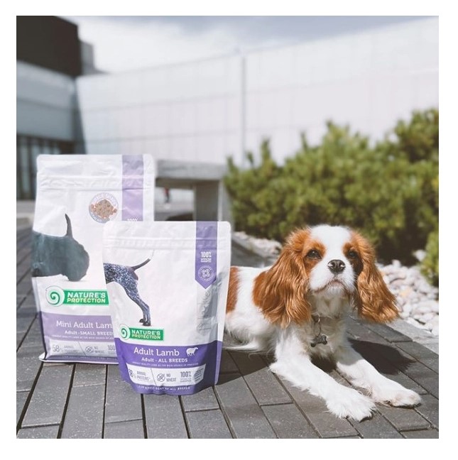 Питание для собак мелких пород Сухой корм для собак Nature's Protection MINI ADULT LAMB (ягненок)