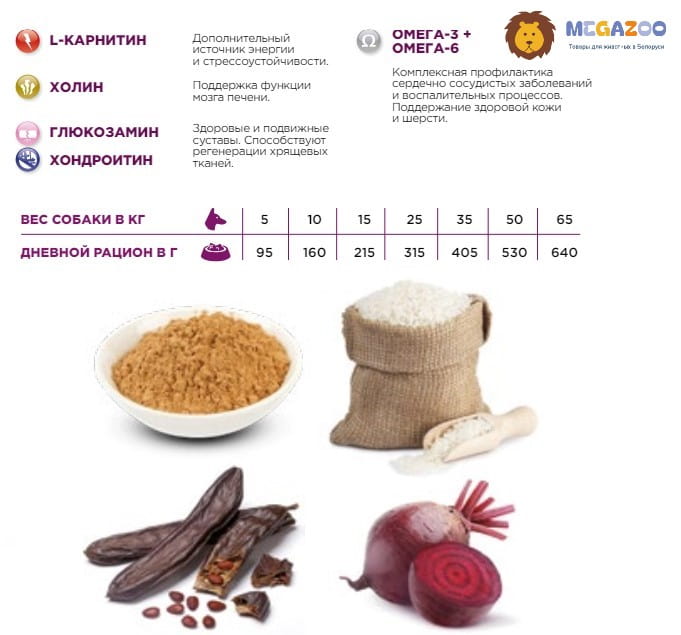 Сухой рацион для стареющих собак Necon Delicious Senior (свинина, рис) 