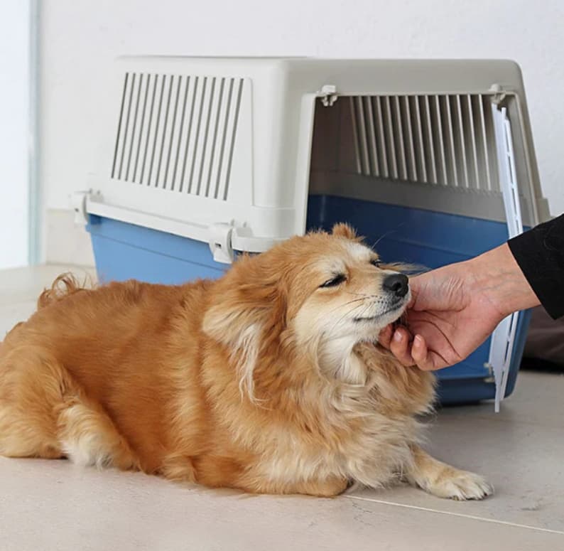 Ferplast Переноска ATLAS (без аксессуаров)